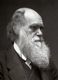 Portrait of Charles Darwin